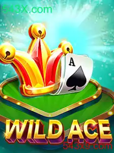 Descubra o Emocionante Mundo de WildAce no 543X.com